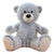 Gray Teddy Bear