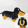 Peluche Teckel Negro