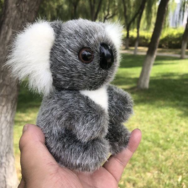 Early Learning Centre Peluche Koala – Poly Juguetes