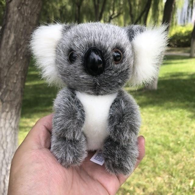 Peluche koala  Peluche koala, Peluches, Osos de peluche