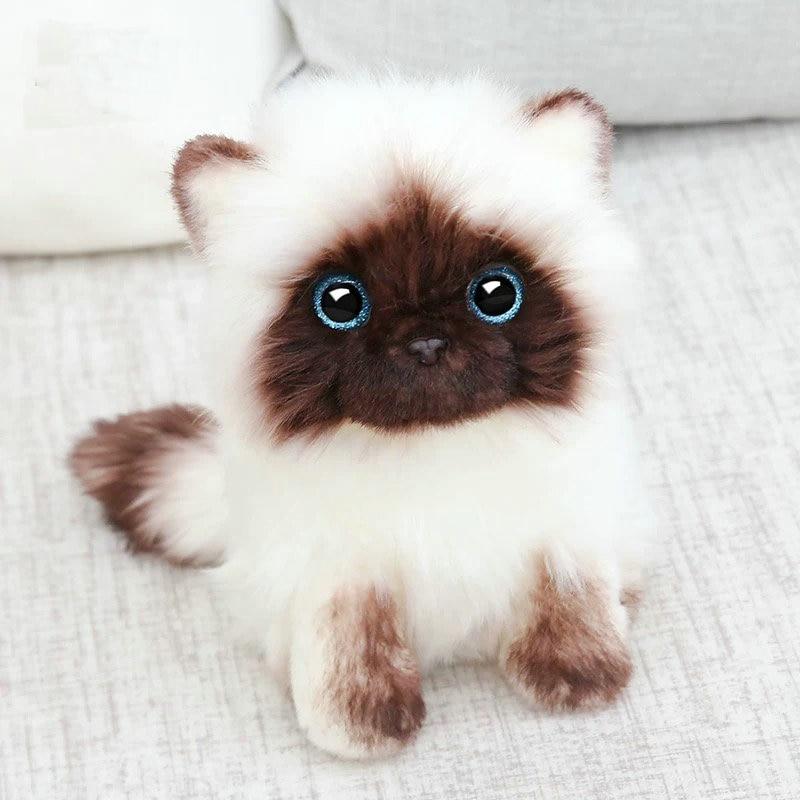 Baby Cat Plush